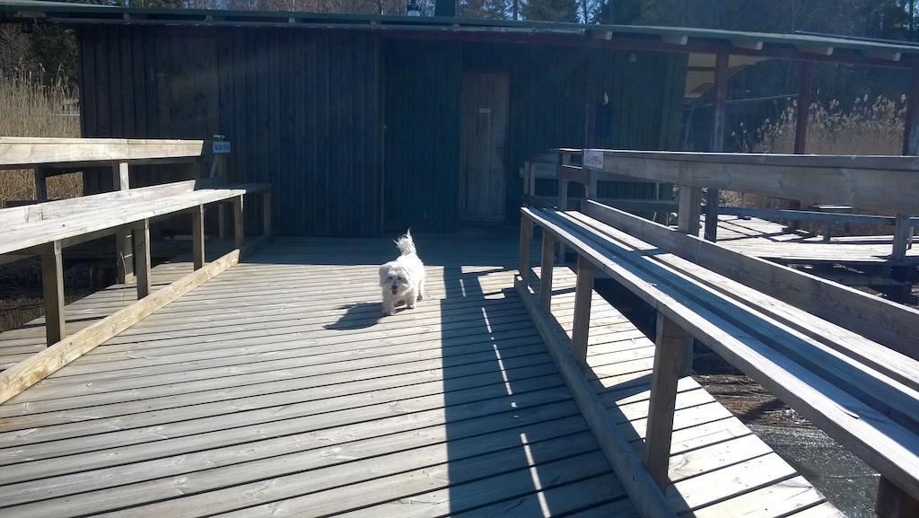 Lomakeskus Koivukankare Kaarina Exteriér fotografie